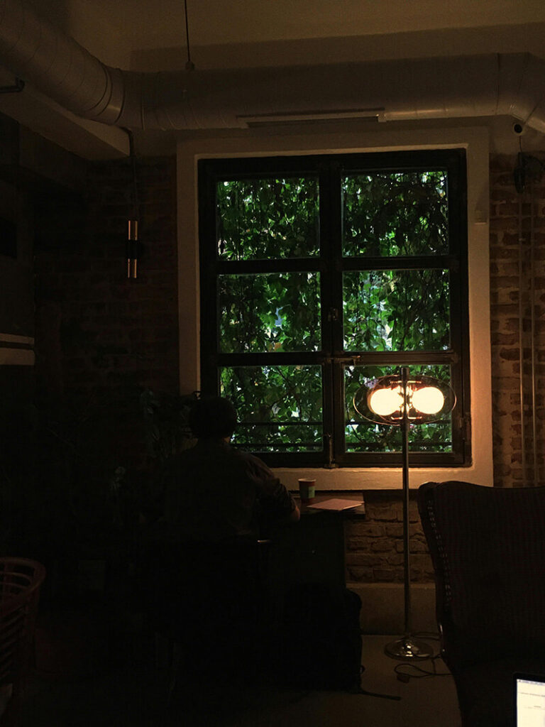 Blog 8